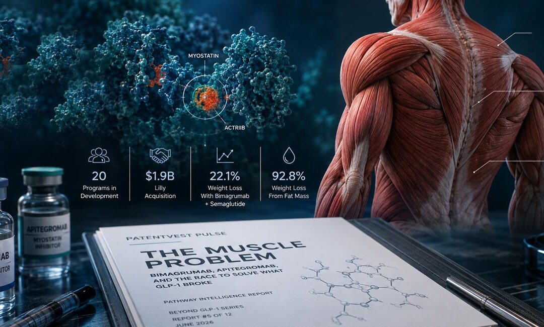 The Muscle Problem: How Myostatin Could Expand the GLP-1 Opportunity